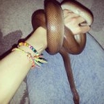 Profile Picture of Larry Whitley (@saviorwasian) on Instagram