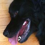 Profile Picture of Benjamin Ellis (@benjamin_spams13) on Instagram