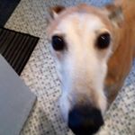 Profile Picture of Alan Crabtree (@alancrabtreenpr) on Instagram