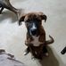 Profile Picture of Sharron Mclear (@sharron.mclear.5) on Facebook