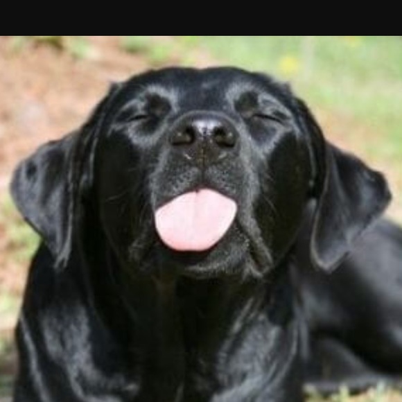 Profile Picture of Luis Agudelo (@alejomiami) on Poshmark