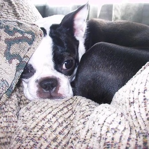 Profile Picture of Bridgette Ludwig (@334010137) on Myspace