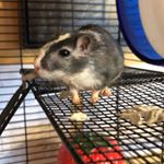 Profile Picture of William Mennell (@williammennell) on Instagram