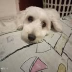 José David Preziosi Forgione - Facebook Profile Picture of José David Preziosi Forgione (@josedavid.preziosiforgione) on Facebook