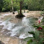 Profile Picture of Brian Lewicki (@blew0305) on Instagram