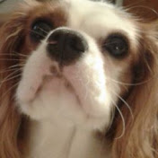 Profile Picture of Isaiah Powers (@isaiahpowers4741) on Youtube