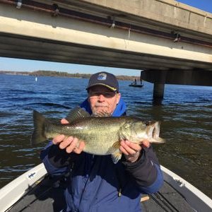 Profile Picture of Bill Lambeth (@BillLambeth1) on Twitter