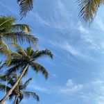 Profile Picture of Pablo Yadir Quezada Gutierrez (@pabloyadirquezada) on Instagram