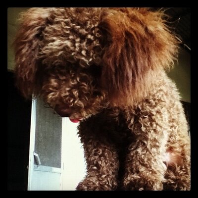 Profile Picture of Young Darwin (@YoungDarwin906) on Twitter