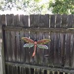 Profile Picture of Janet Hazlette (@janethazlette) on Instagram