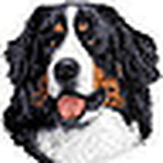 Profile Picture of John Basile (@john basile) on Flickr