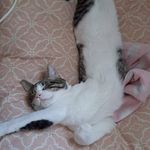 Taylor Bechel - Instagram Profile Picture of Taylor Bechel (@sunflower48o) on Instagram