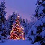 Profile Picture of Joelkrupakar Gutla (@joelkrupakar) on Instagram