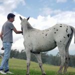 Profile Picture of Joel Haro Ordoñez (@joel_haro_ordonez) on Instagram
