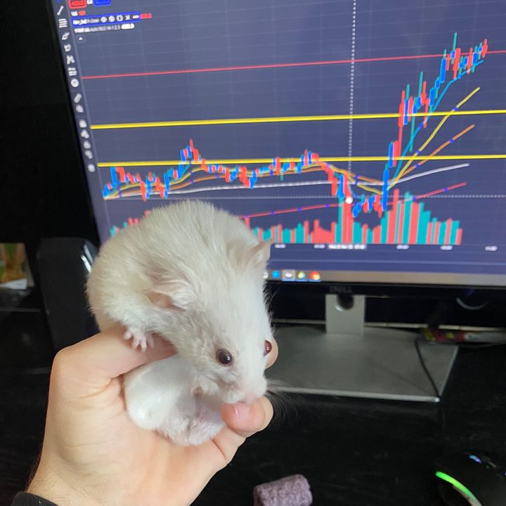 Profile Picture of Jordan Trades (@.jordantrades) on Tiktok