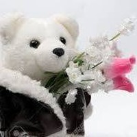 Profile Picture of Misty Singh (@misty-singh-3) on Quora