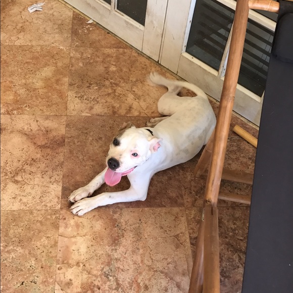 Profile Picture of Victor Carrera (@victorcarrera) on Poshmark