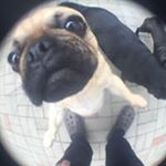 Profile Picture of David Schuchert/HochDruck3D (@greenfreeze1996) on Instagram