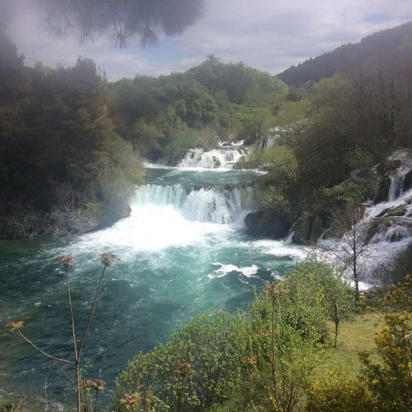 Profile Picture of Youngr Eum (@youngreum) on Poshmark