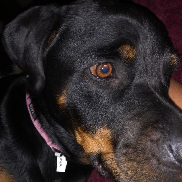 Profile Picture of Nancy Steiger (@nancysteiger) on Tiktok