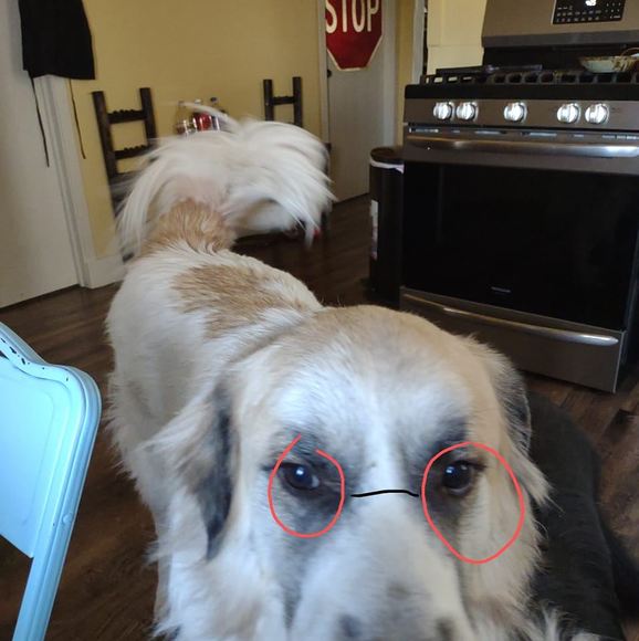 Profile Picture of Jose Yepez (@whytires7) on Poshmark