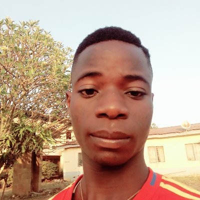 Profile Picture of Dominic Solomon Ayalo (@AyaloDominic) on Twitter