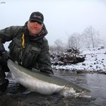 Profile Photo of Roger Hinchcliff FISHING PAGE (@steelheadmanifesto) on Instagram