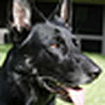 Profile Picture of Carteriii (@carteriii) on Flickr