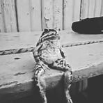 Profile Picture of Peyton Boswell (@peyton.boswell.94) on Facebook