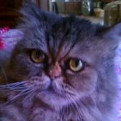 Profile Picture of Michael Lakey (@Lazy3K) on Twitter