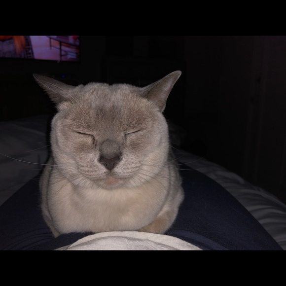 Profile Picture of Hope Umansky (@hu2019) on Poshmark