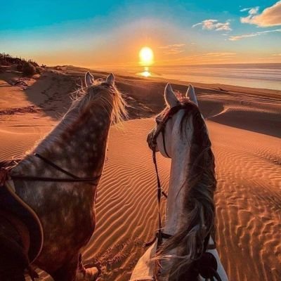 Profile Picture of Adham Bob (@dedo32283781) on Twitter