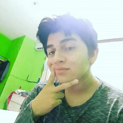 Profile Picture of Luis Angel Mendiola Arias (@Luisang75241050) on Twitter