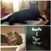 Profile Picture of Tom Blakey (@tblakey1) on Pinterest