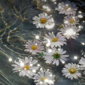 Profile Picture of caitlin.mock (@caitlin_mock) on Pinterest