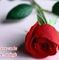 Profile Picture of Shaila Kalasa (@shaila.kalasa) on Facebook
