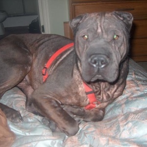 Kim Cooper Schmidt - Myspace Profile Picture of Kim Cooper Schmidt (@kimbyrli) on Myspace