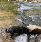 Profile Picture of Derrick Mosby (@Mosby.Movers) on Facebook