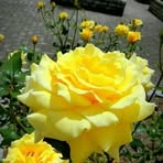 Profile Picture of Silvana Wampash (@Silvana-Wampash) on Facebook