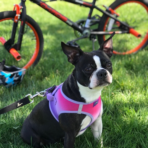 Profile Picture of Vanessa Frantzich (@loll_jjade) on Poshmark