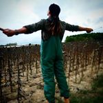 Profile Picture of Daniel Godel (@danielgodel) on Instagram