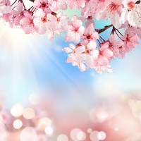 Profile Picture of Annie Tanasugarn (@annie-tanasugarn) on Quora