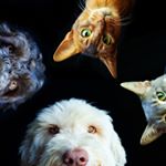 Profile Picture of Kathy Cribb (@cribb.kathy) on Instagram