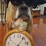 Profile Picture of Kim Costello (@mellencamp.fan) on Instagram