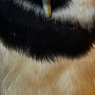 Profile Picture of Timothy.Holmes (@mateoojtywl) on Tiktok