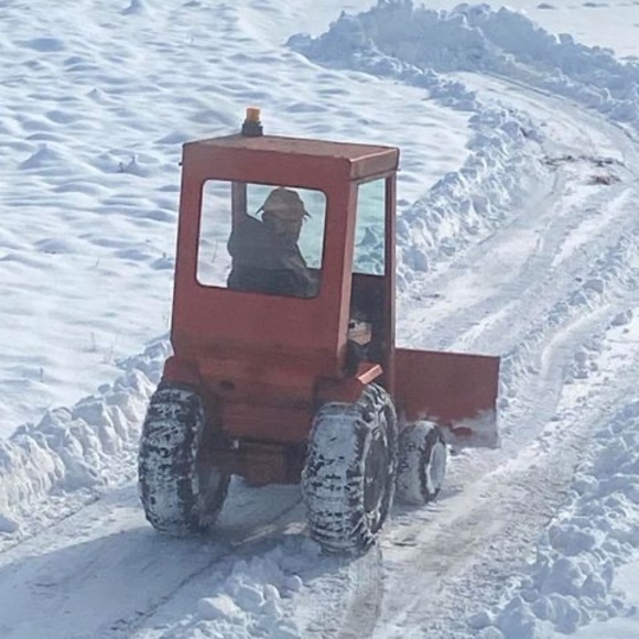 Profile Picture of Edison Cowing (@ltedcow) on Poshmark