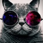Profile Picture of David Stormer (@David-Stormer) on Facebook