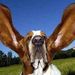 Profile Picture of Christine Dobelbower (@cdobel) on Pinterest