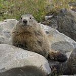 Profile Picture of Alex Yeager (@moto_moto_likes_you_boi) on Instagram