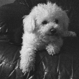 Profile Picture of Anne Cahill (@majella50) on Twitter